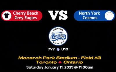 vs Cherry Beach Grey Eagles [Highlights]